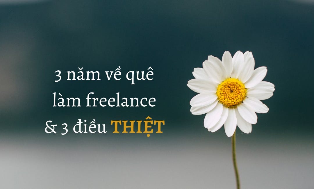 3 năm về quê làm freelance & 3 điều THIỆT