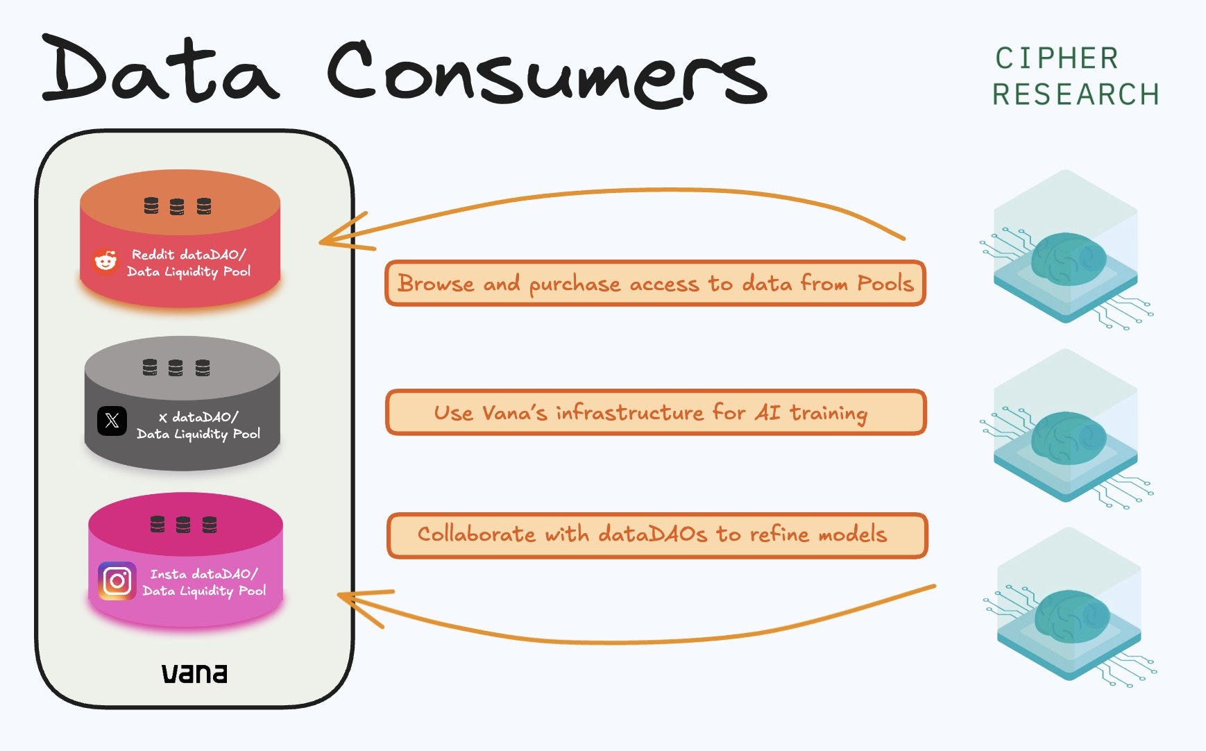 Vana For Dummies: All You Need to Know Explained in 2 Minutes