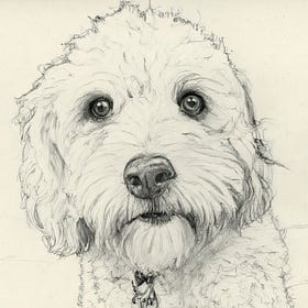 Our Dog Buddy is Fifteen
