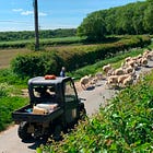 Can Community Save British Farming?