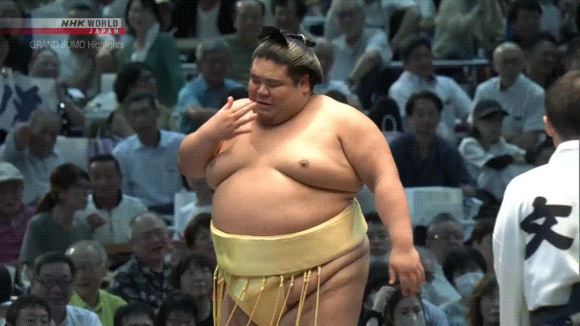 Sumo Stomp! | Tim Bissell | Substack