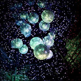 What Are We Even Doing Here If We Aren't Dancing?