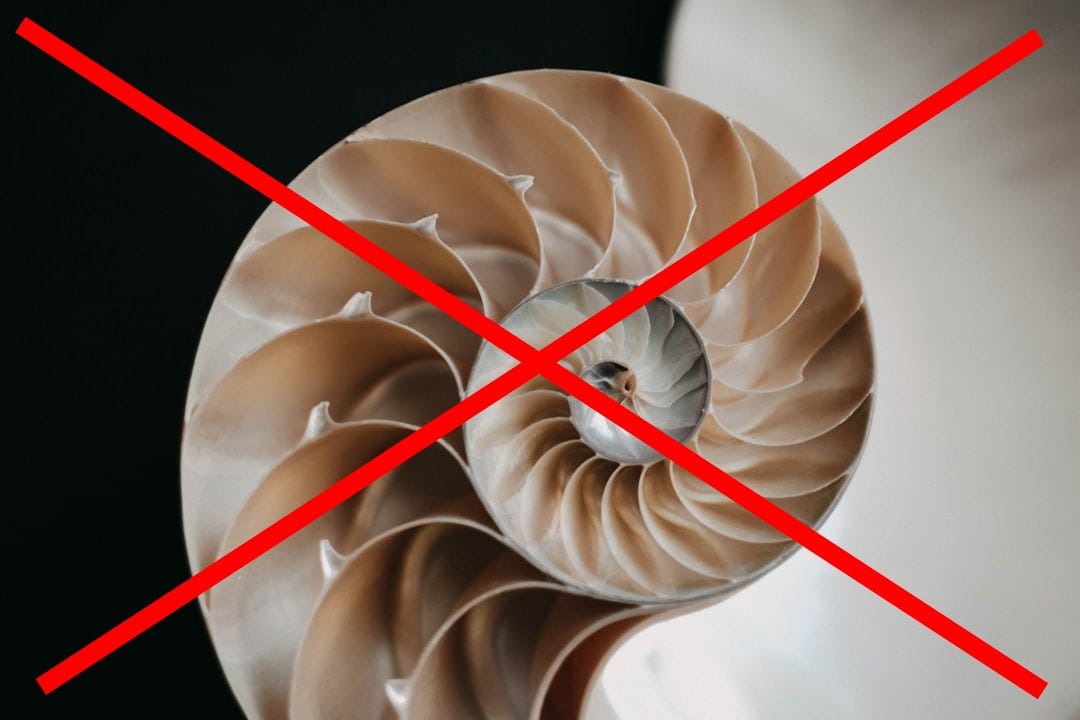 a close up of a nautish shell on a black background