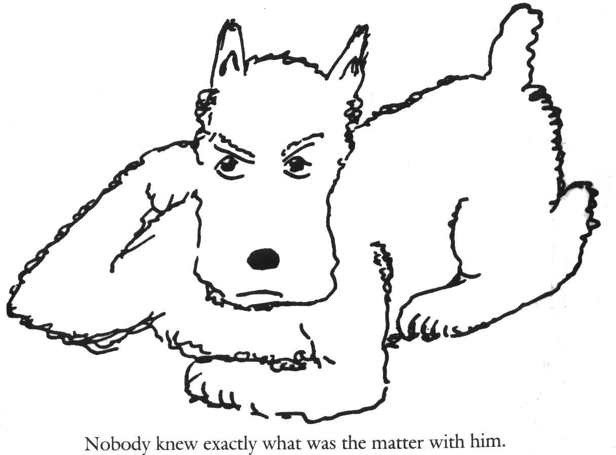 Muggs, James Thurber's family Airedale dog, gets Green Lawn monument