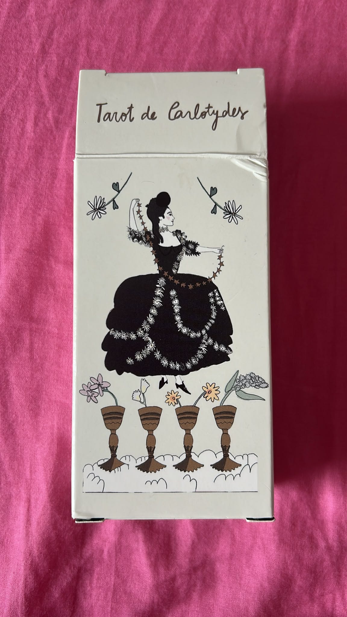 Tarot de Carlotydes deck box photographed for Honey Wyatt’s Tarot DMs Chat 44 interview, illustrated with a woman in an elaborate black dress above four flower-filled cups. Tarot de Carlotydes deck box photographed for Honey Wyatt’s Tarot DMs Chat 44 interview, illustrated with a woman in an elaborate black dress above four flower-filled cups.