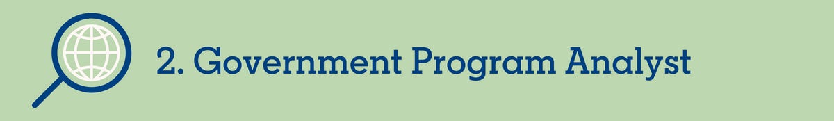 2. Government Program Analyst 