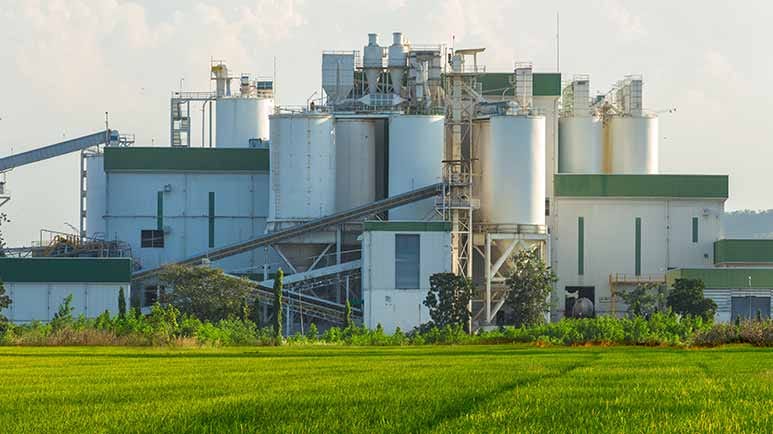 stupidity of ethanol as green energy stupidity of ethanol as green energy