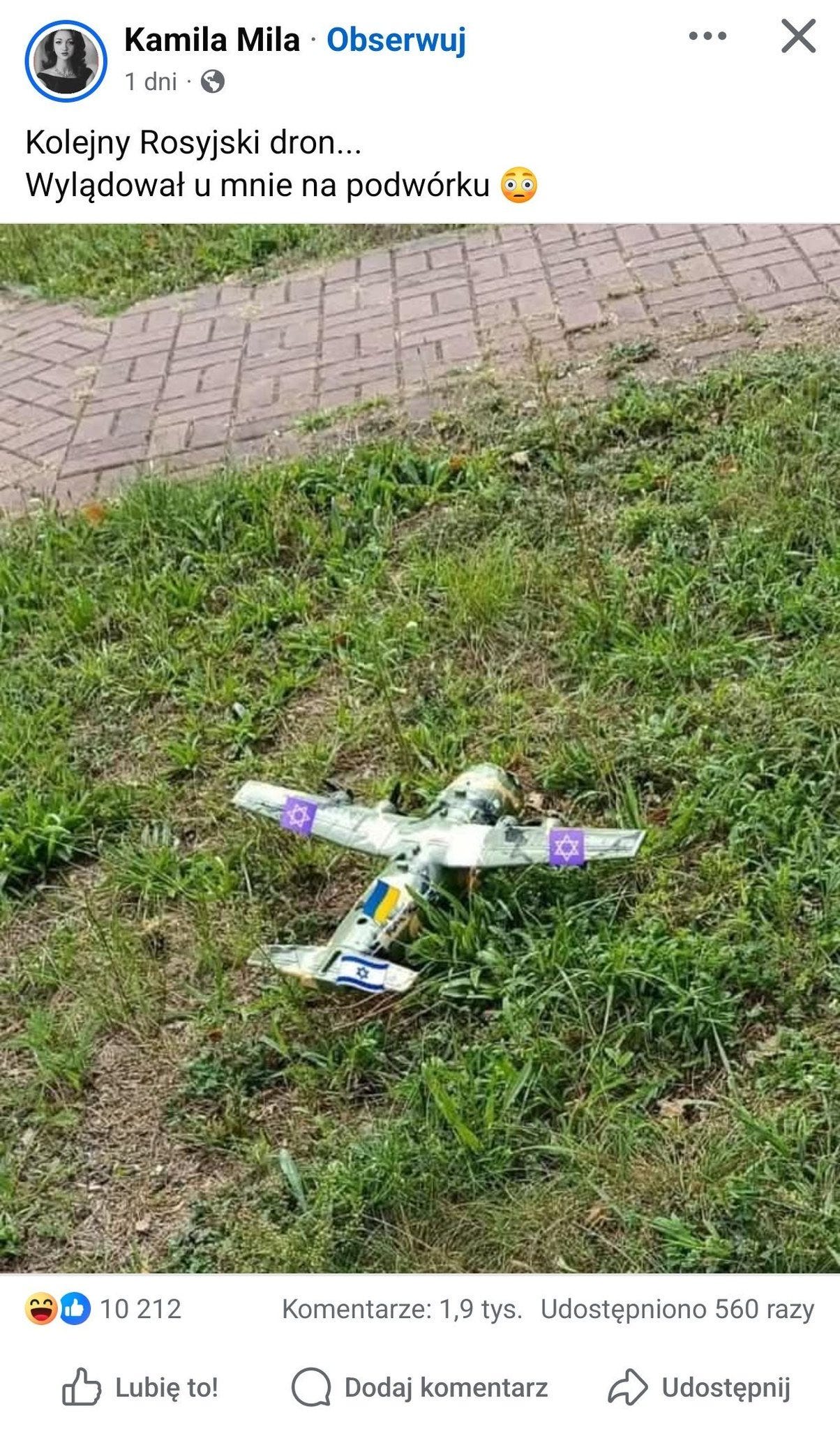A toy airplane with purple and yellow markings lies on a grassy area next to a paved path. The airplane appears small and is positioned on the ground among green grass and some plants.