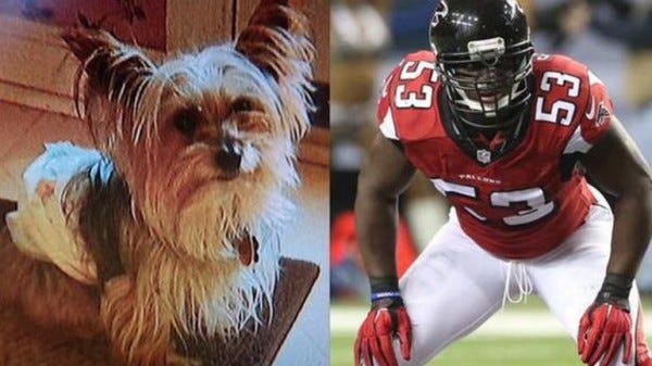 prince shembo waived by falcons for dog dying prince shembo waived by falcons for dog dying