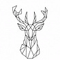 David Bettencourt's avatar