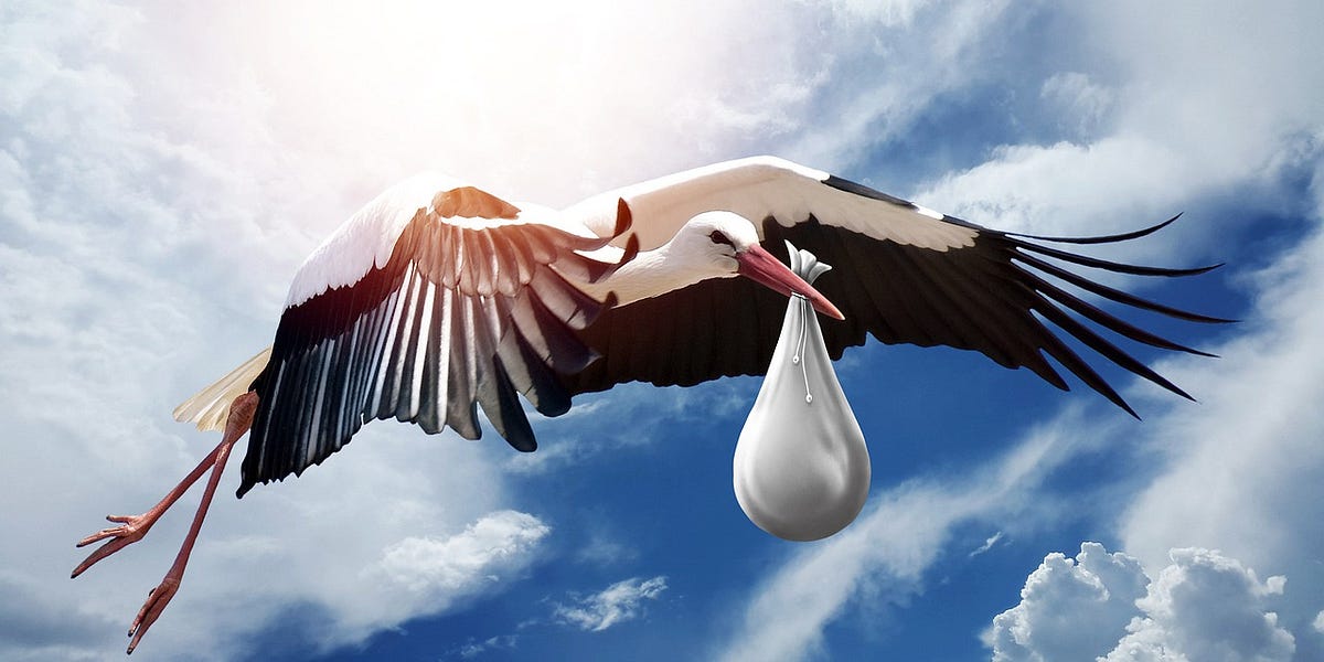 bomenenbos.substack.com