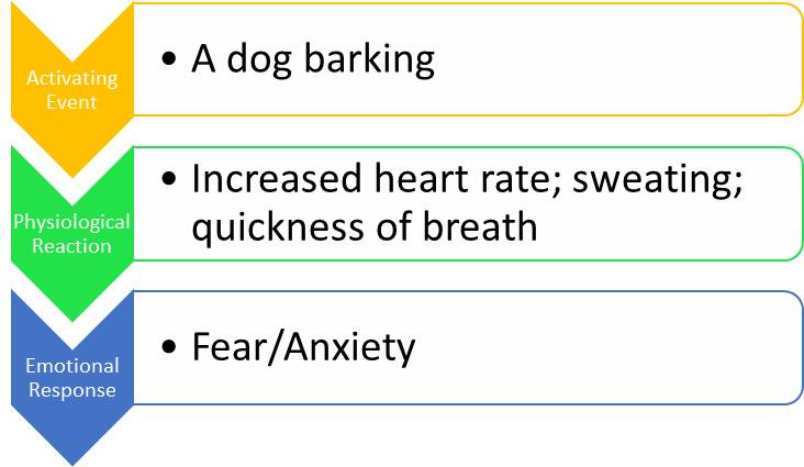File:James-Lange Theory of Emotions.jpg - Wikipedia