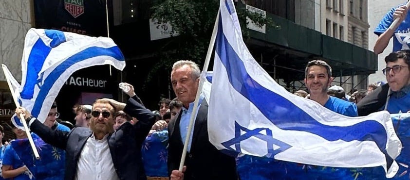 Is RFK Jr. Campaign Part of an Establishment Agenda — a More Insidious Sheepdog?