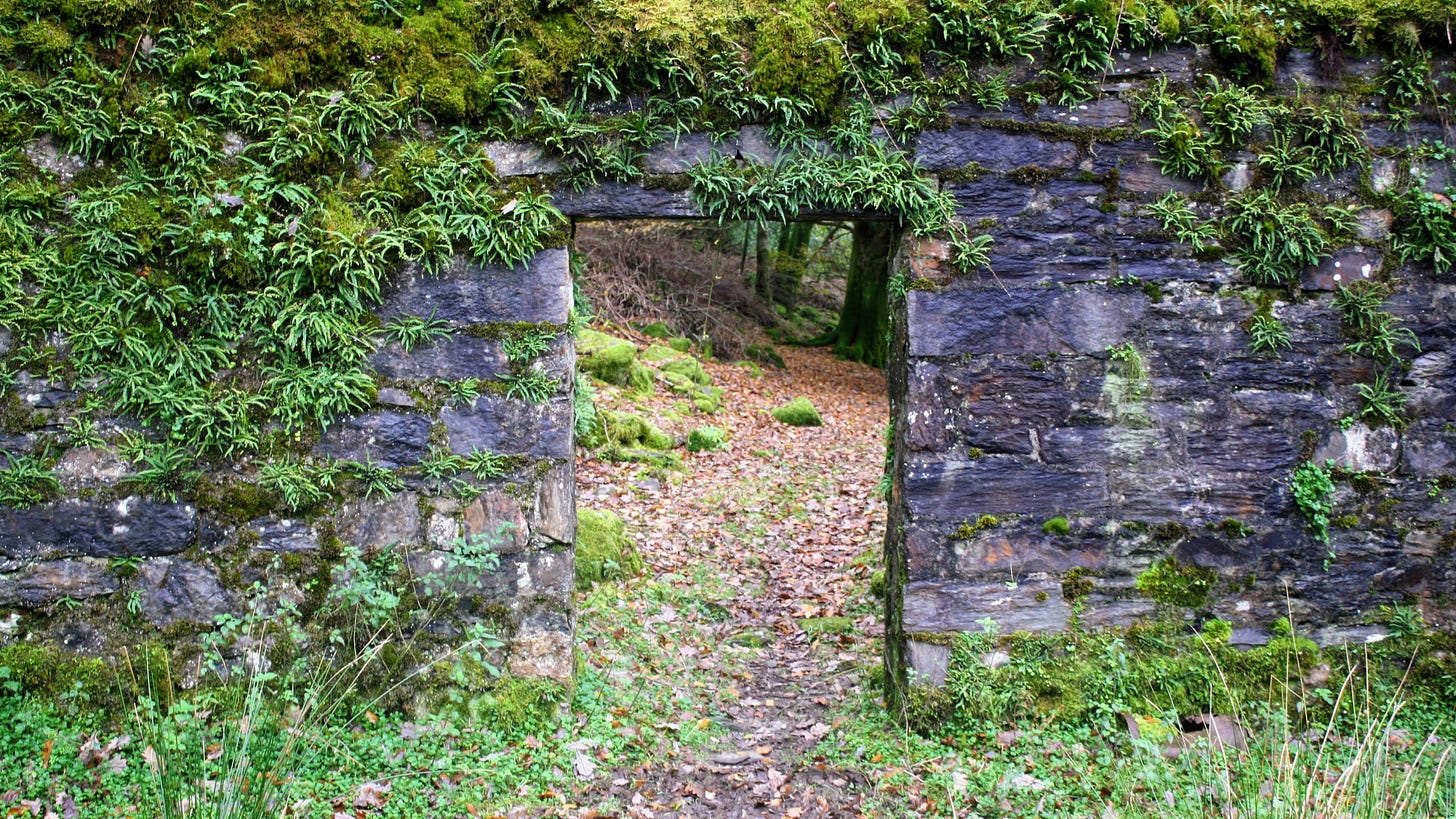 Doorway in an old stone wall covered in foliage, leading to the woods