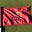 g g's avatar