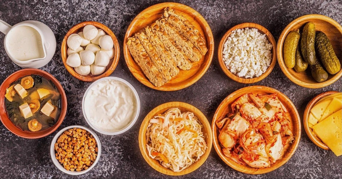 How are Fermented Foods Good for Your Health | Hakko Hub