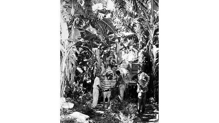 Colombia’s Banana Massacre – The Real-Life Event That Inspired Gabriel García Márquez Colombia’s Banana Massacre – The Real-Life Event That Inspired Gabriel García Márquez