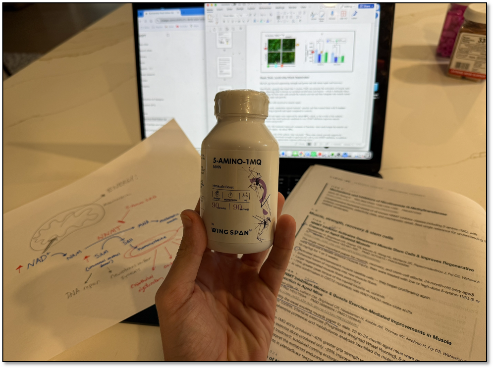 nmn 5 amino 1mq 5-Amino-1MQ The Metabolic Leak That Might