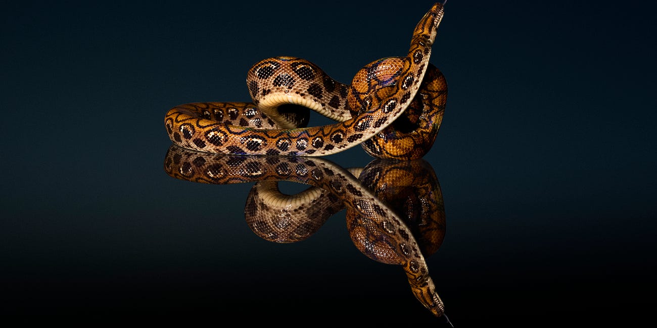Python Strategy
