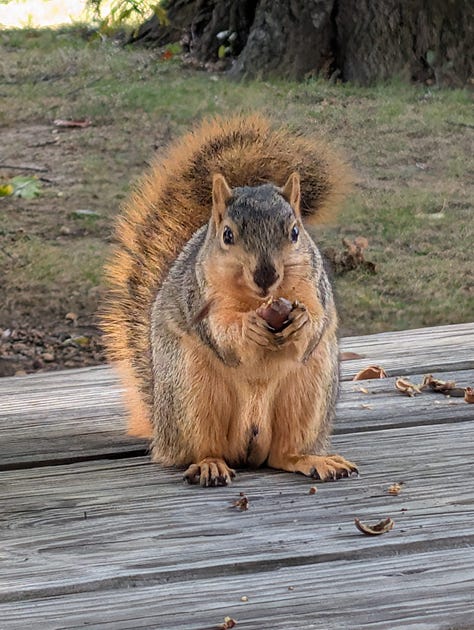 All Means All: pics of group fun, and the autumn colors of nature