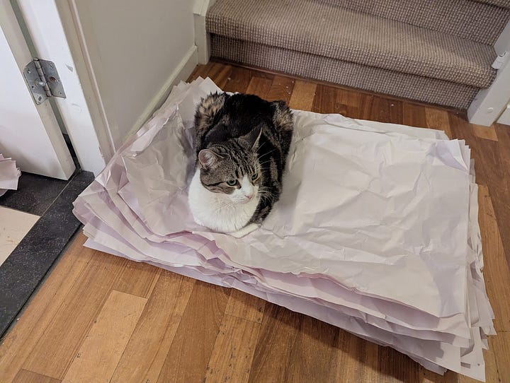 Two pictures of a grey mackerel tabby named Joi. One he is standing on the edge of a staircase banister looking down ominously, on the other, he's supervising our unpacking job whilst sitting on flattened pieces of packing paper. 