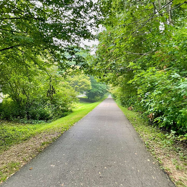 1 - A paved trail through dense foliage; 2 - A gloved hand holding a small sketchbook with water color palette clipped to it , with a landscape sketch of early spring fields; 3 - Shell wearing a bike helmet and looking at the camera; 4 - A bouquet of flowers in the water bottle holder on a bike