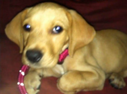 No photo description available.