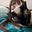 Kittentoes's avatar