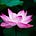 Flowers Power's avatar