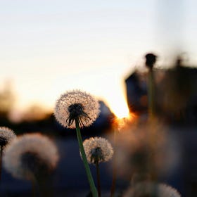 Choose Wellbeing Over Exhaustion