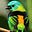 Lamtpf's avatar