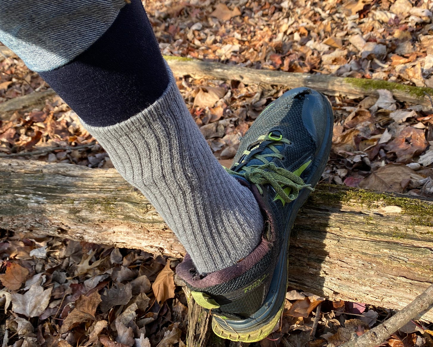 Ticks Go Up featured image Ticks Go Up featured image