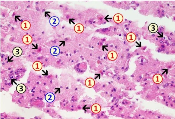 Map

Description automatically generated
