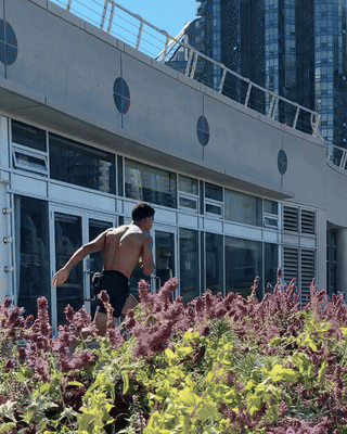 ben coal harbour vancouver gallop landing.gif