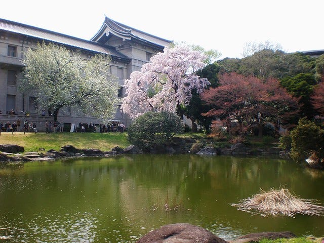 Hanami at the Museum Hanami at the Museum