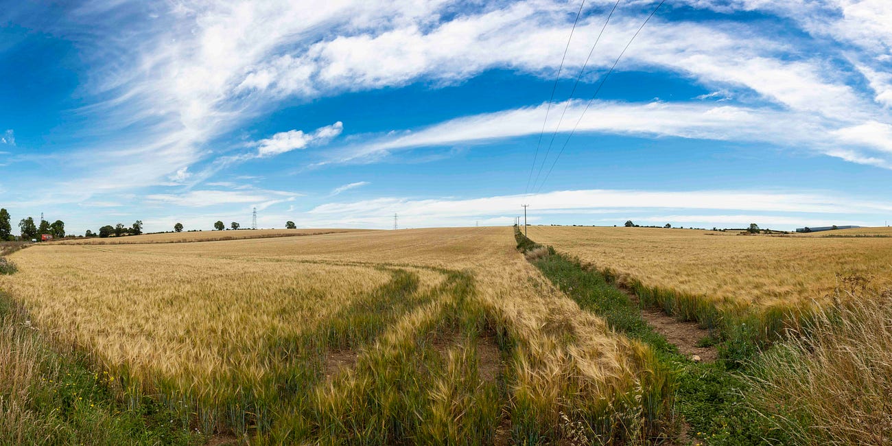 ‘We need to fight this’: Campaign groups join forces to stop new warehouse developments