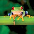 Karen Perry's avatar