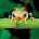 Karen Perry's avatar