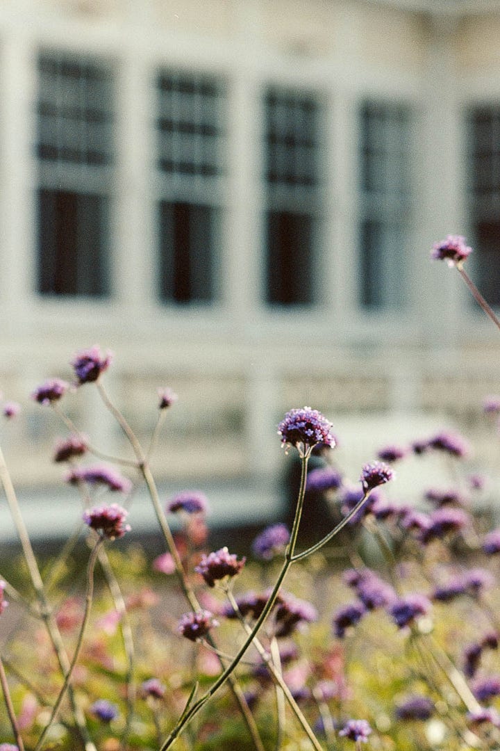 Portra film and Hanko seaside