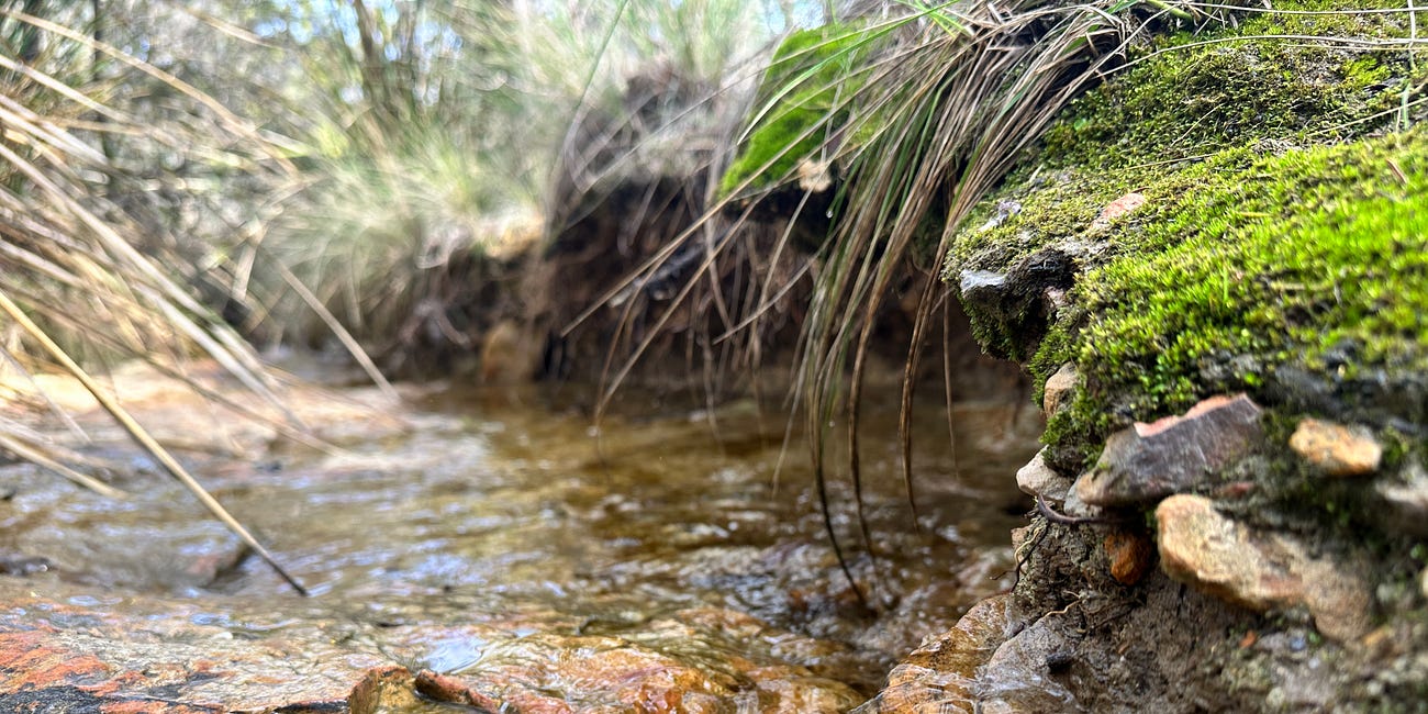 A Creek's Guidance on Doing for the Joy of Simply Doing