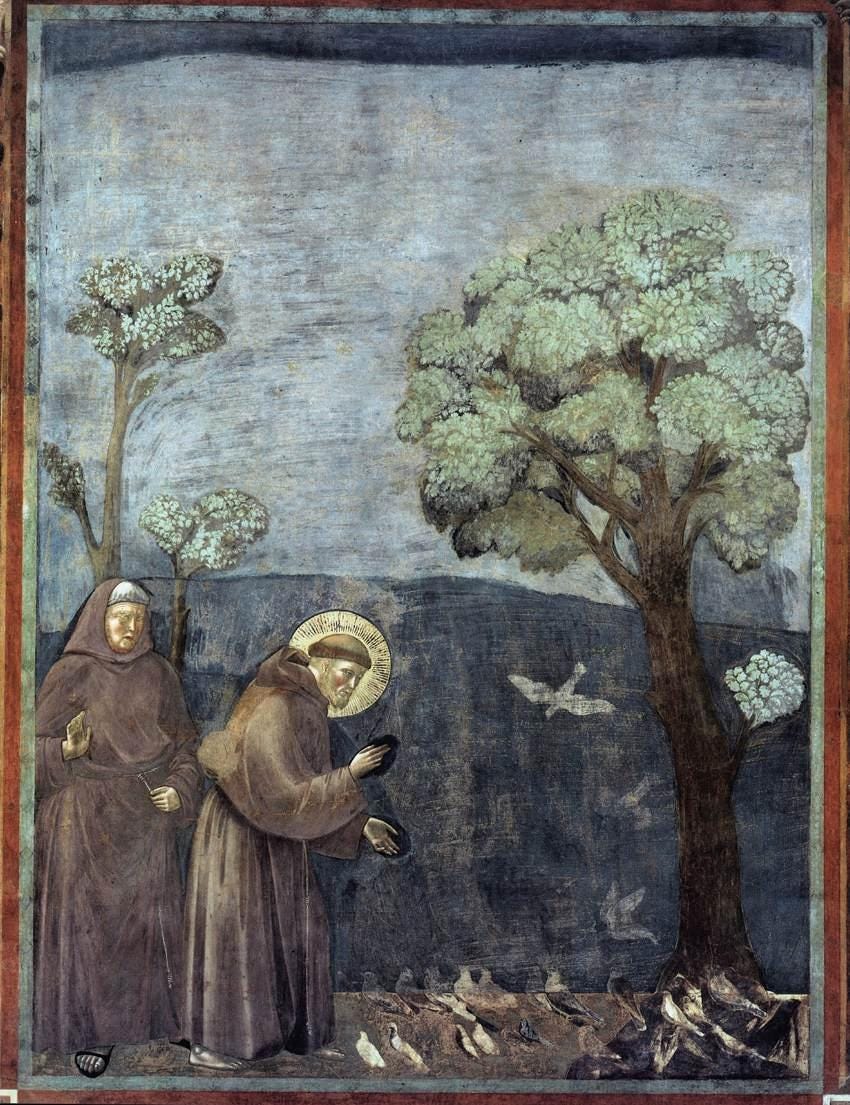 Giotto di Bondone, Saint François prêchant aux oiseaux (vers 1297-1300) Giotto di Bondone, Saint François prêchant aux oiseaux (vers 1297-1300)