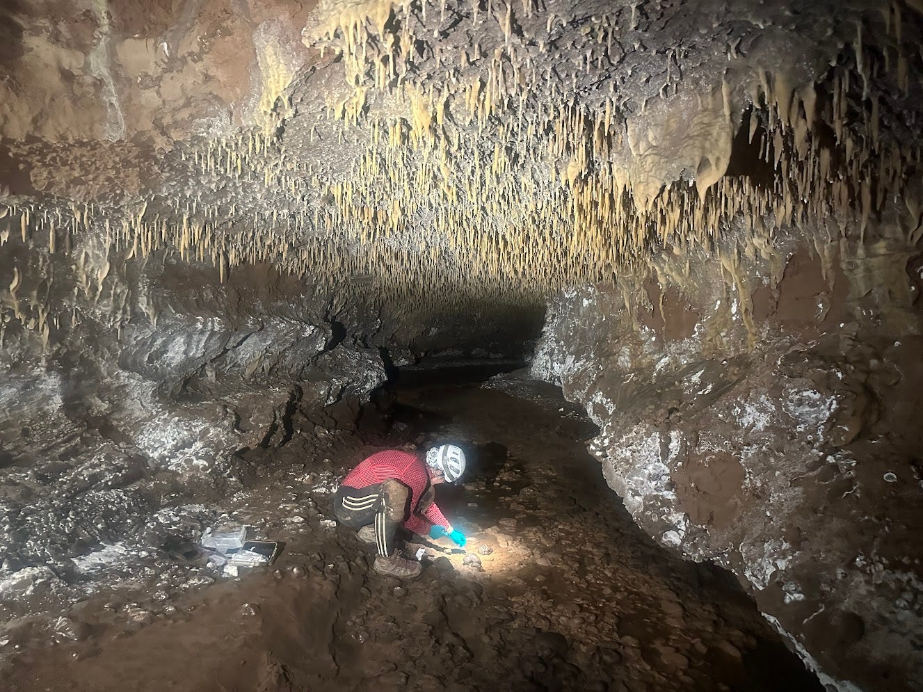 Riley collecting a water sample in a passage with many pretty soda straws/small stalactices in the ceiling Riley collecting a water sample in a passage with many pretty soda straws/small stalactices in the ceiling