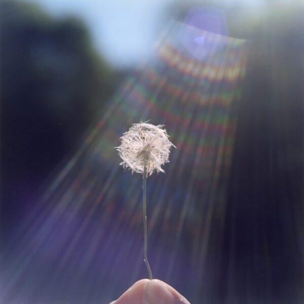Rinko Kawauchi | Solo Exhibition Rinko Kawauchi | Solo Exhibition