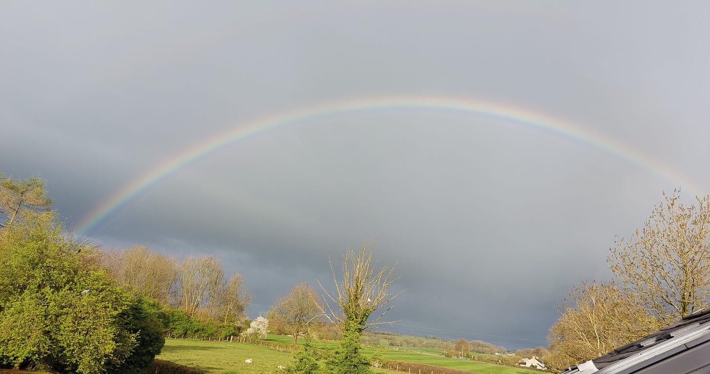 A rainbow arcing across a sunny grey sky with a green field below it A rainbow arcing across a sunny grey sky with a green field below it