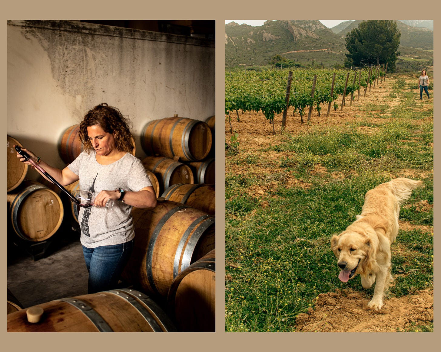 Barbarot winery in La Rioja