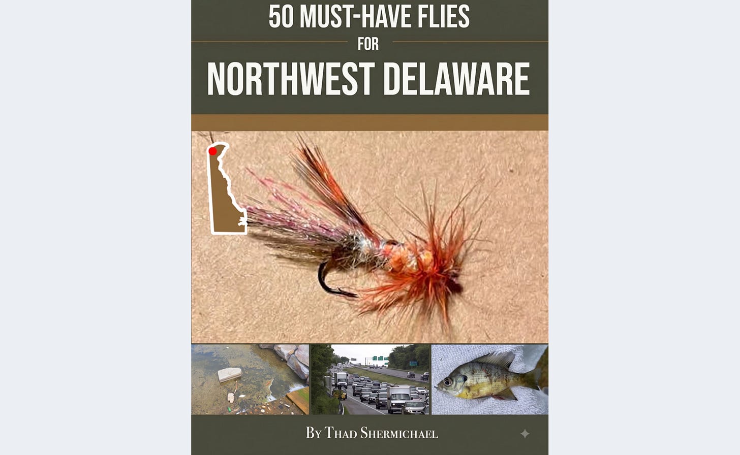 50 Must-Have Flies For Northwest Delaware by Thad Shermichael.