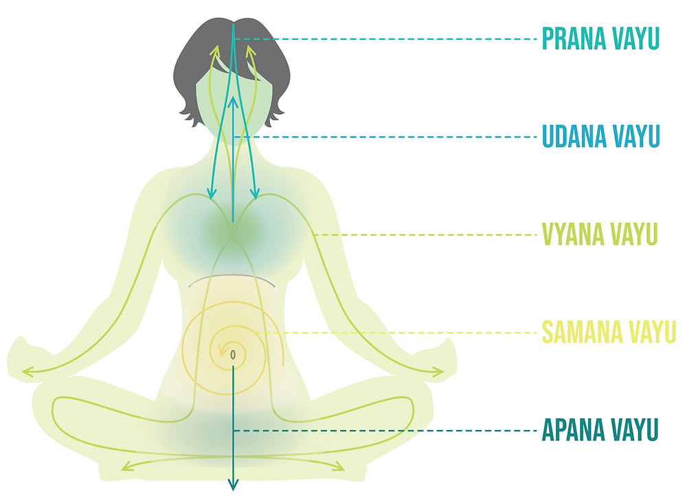 Pancha Vayu and the directional flow of Vayu. Prana - The Life Force Energy. The Yoga Nerds' 200-Hour Yoga Teacher Training.