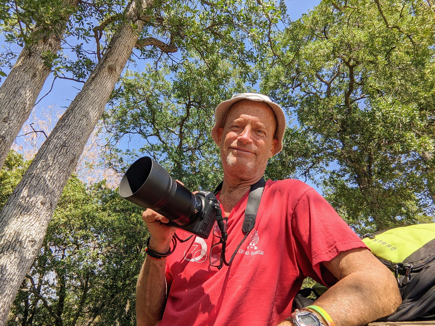 The Photographer in the Woods