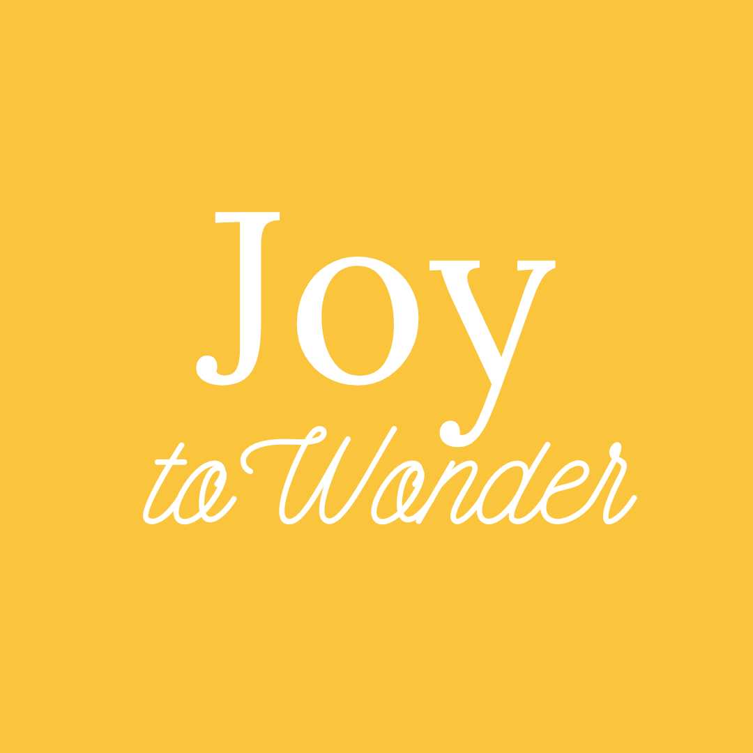 Joy to Wonder