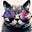enigmatic proprietary's avatar